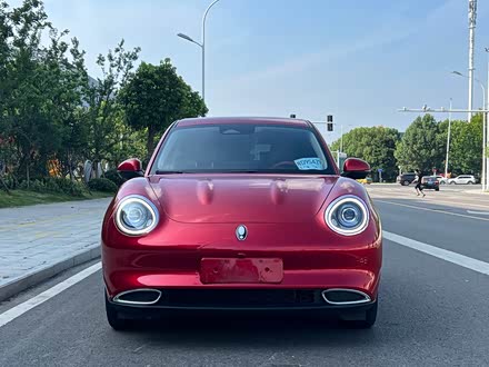 欧拉好猫 2021款 400km标准续航 维纳斯版 磷酸铁锂