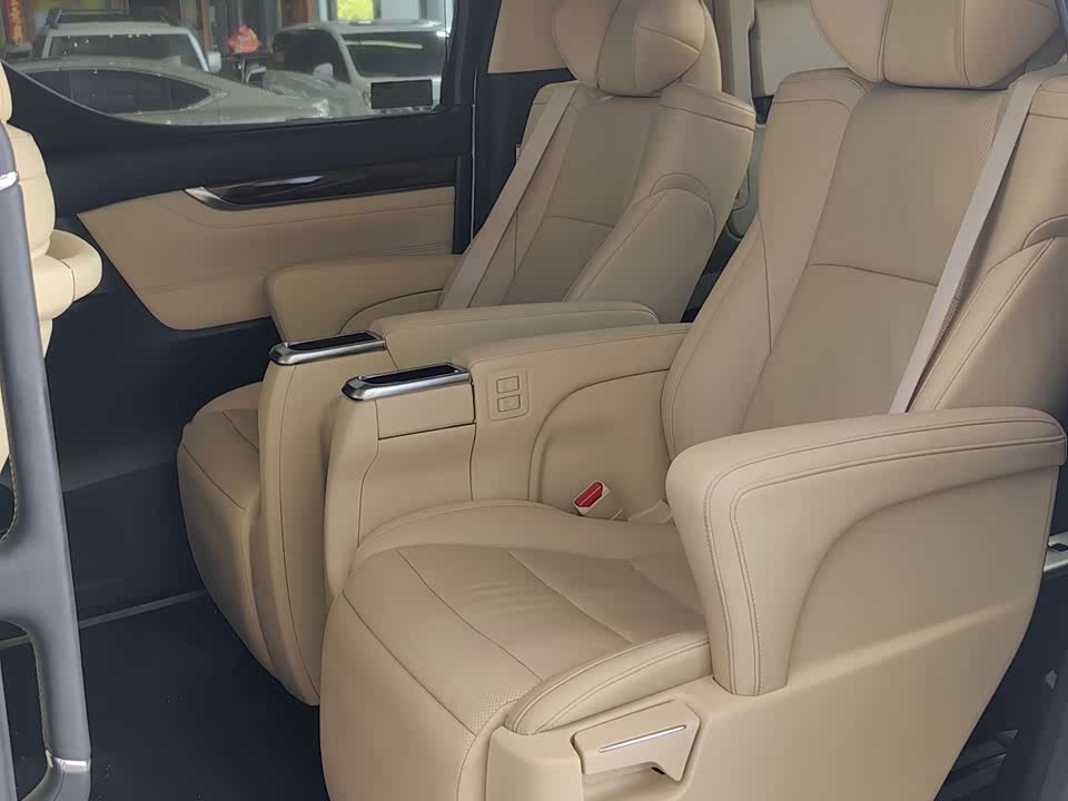 Toyota Elfa