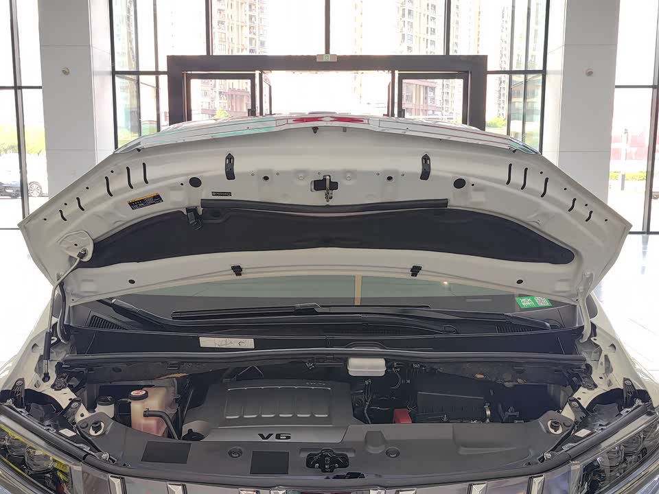 Toyota Elfa