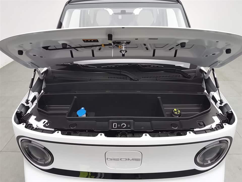 Geely Galaxy panda Geely Galaxy panda
