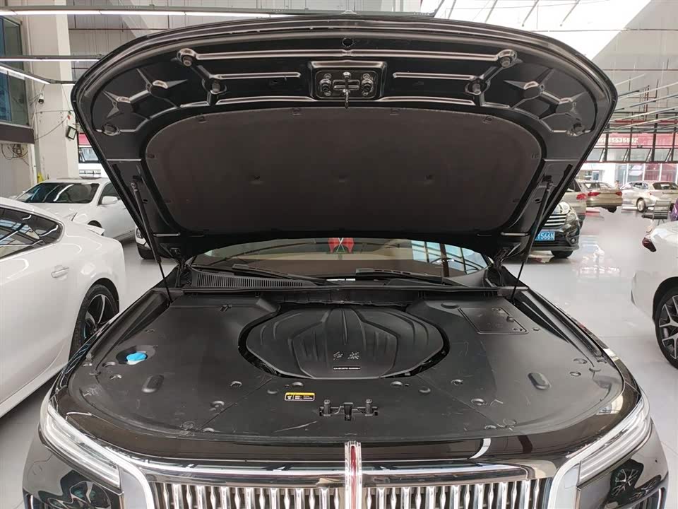 Hongqi H9