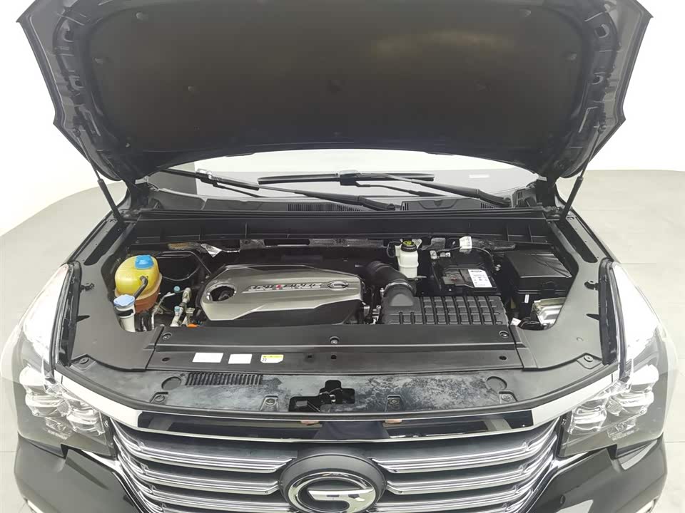 Trumpchi Trumpchi GS8 Trumpchi Trumpchi GS8