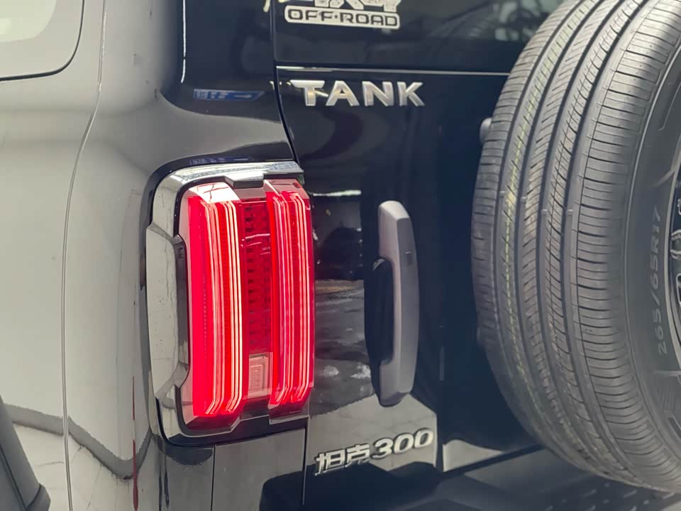 Tank 300 Tank 300