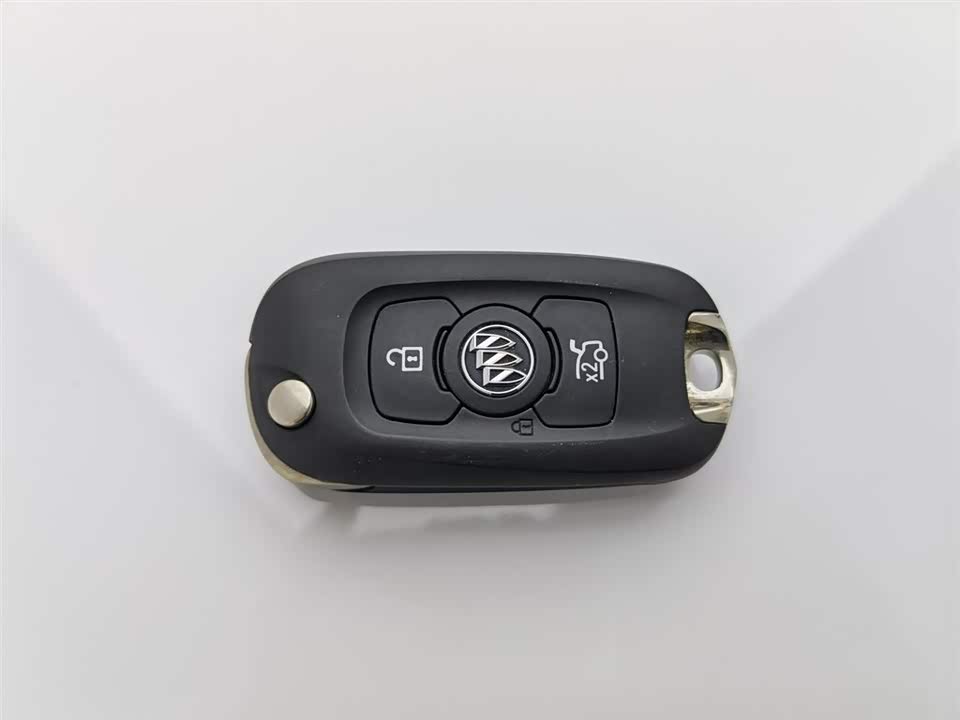 Buick Weilang
