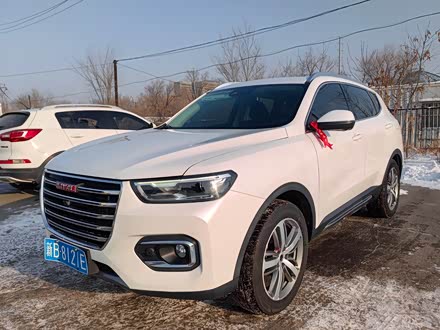 哈弗h6 2019款 红标 1.5gdit 自动豪华智联版