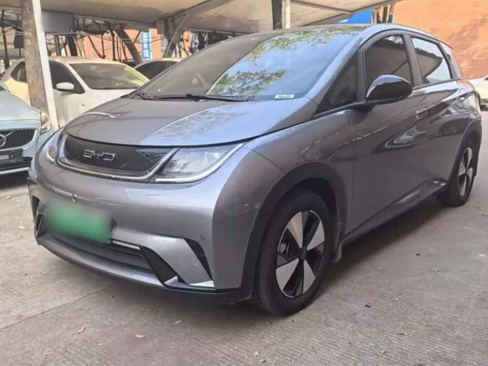 BYD dolphin