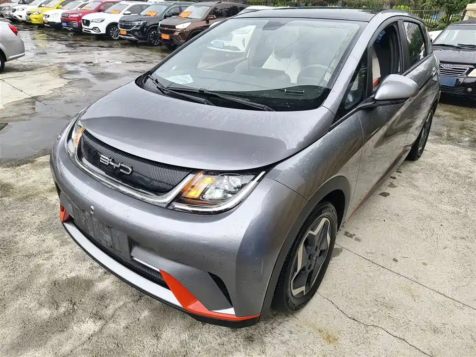BYD dolphin