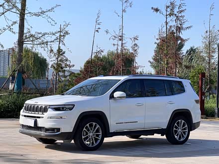 大指挥官 2018款 2.0t 四驱尊享导航版 国v