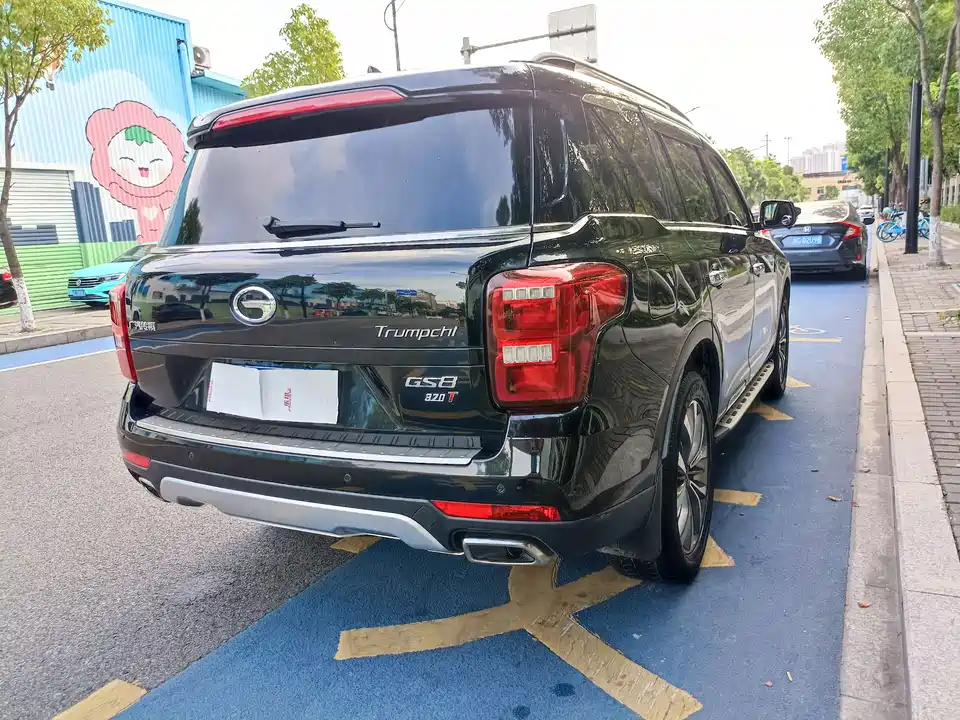 Trumpchi Trumpchi GS8