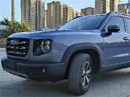 哈弗大狗 2021款 1.5t dct两驱拉布拉多版