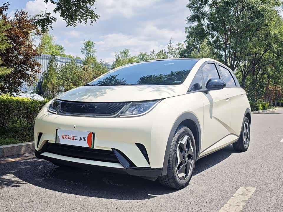 BYD dolphin BYD dolphin