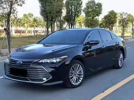 亚洲龙 2021款 2.5l 豪华版