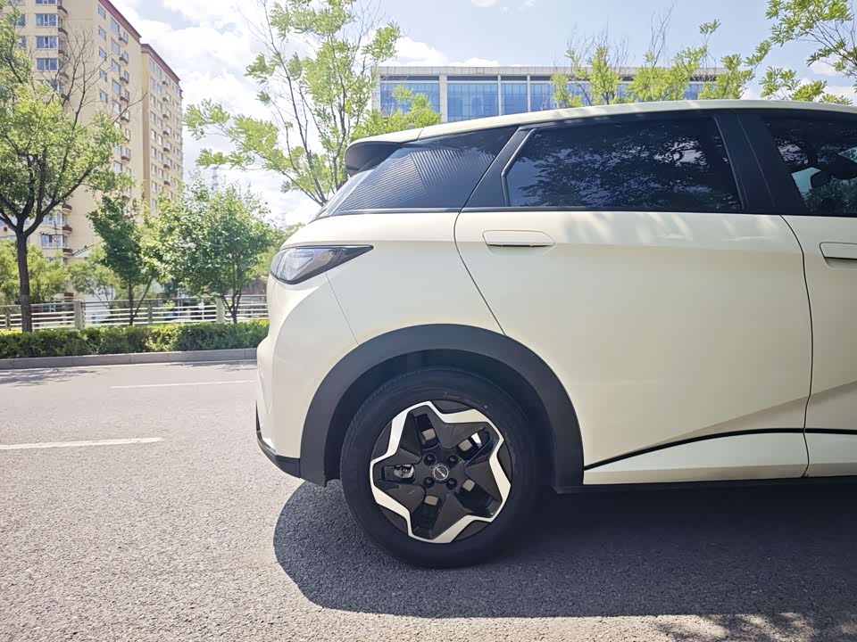 BYD dolphin BYD dolphin