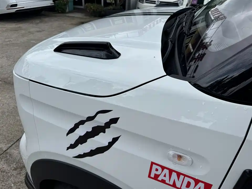 Geely Galaxy panda