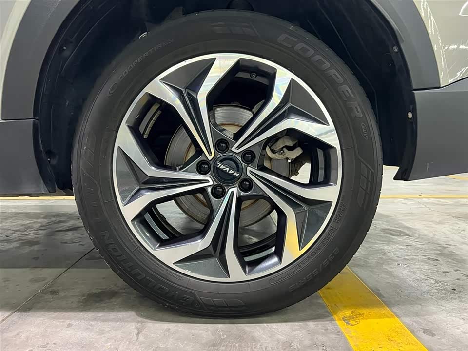 Haval Divine beast Haval Divine beast