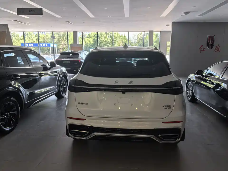 Hongqi HS5