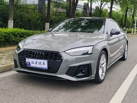 【长沙16-36万二手奥迪a5】_长沙16-36万二手奥迪a5报价_图片_二手车