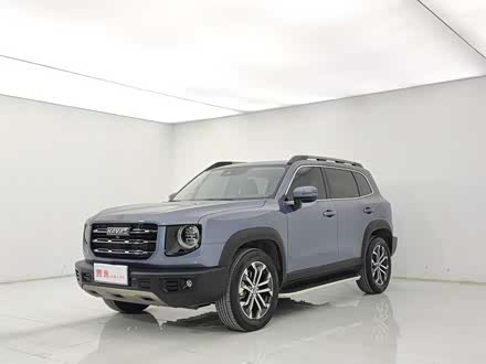 哈弗大狗 2021款 1.5t dct两驱边牧版