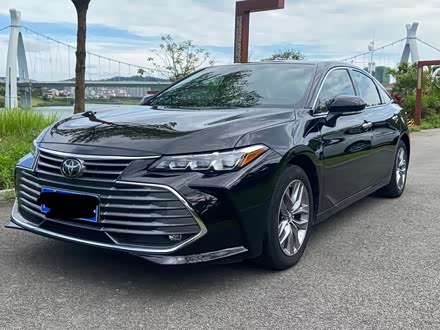 亚洲龙 2021款 2.5l 豪华版