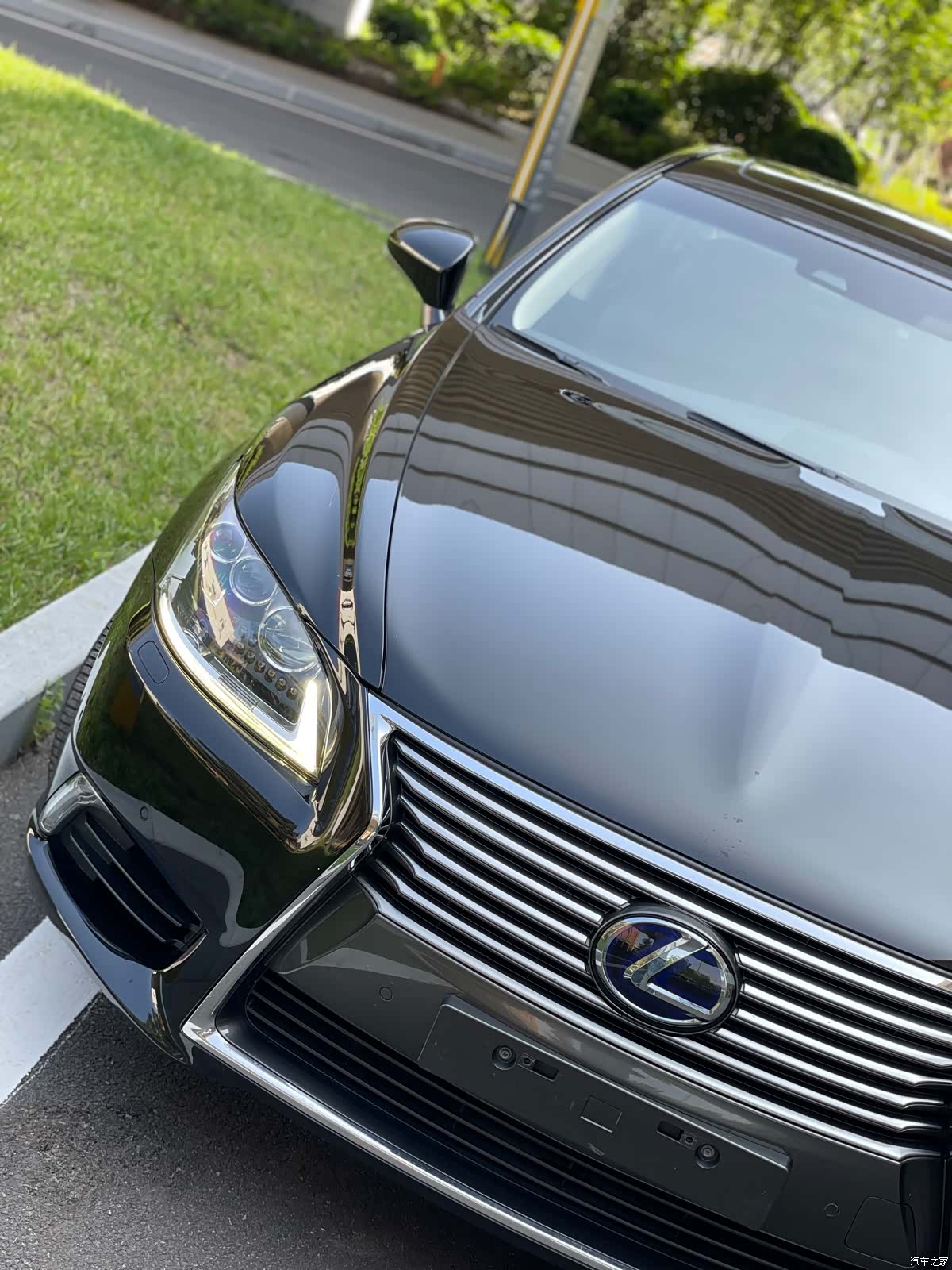 Lexus LS, 2014 все фото