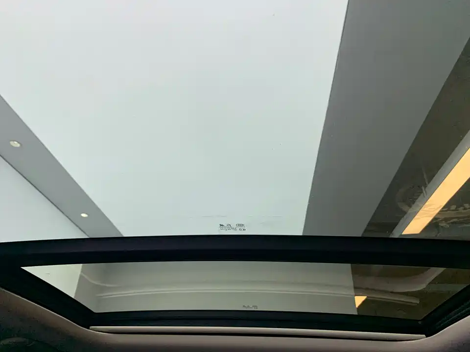 Hongqi H9