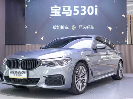 宝马5系(进口) 2020款 530i m运动套装
