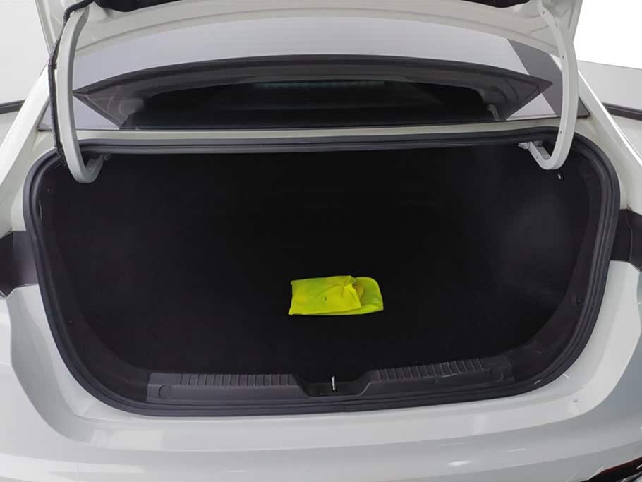 Trumpchi Shadow Leopard Trumpchi Shadow Leopard