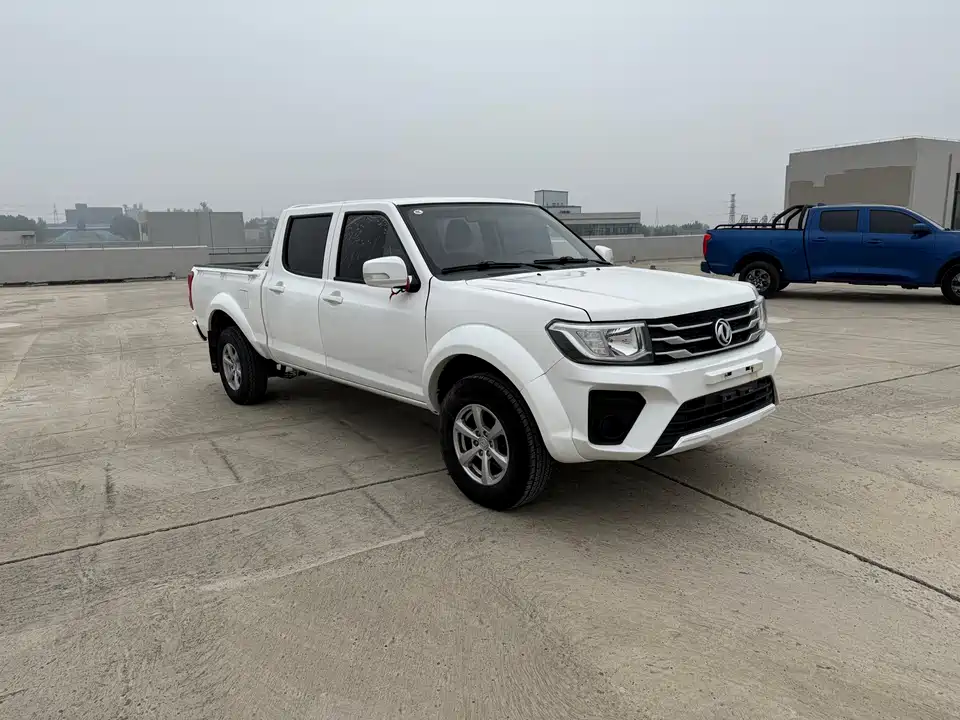 Dongfeng Ruiqi