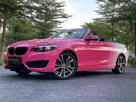 宝马2系 2019款 225i 敞篷轿跑车 运动设计套装