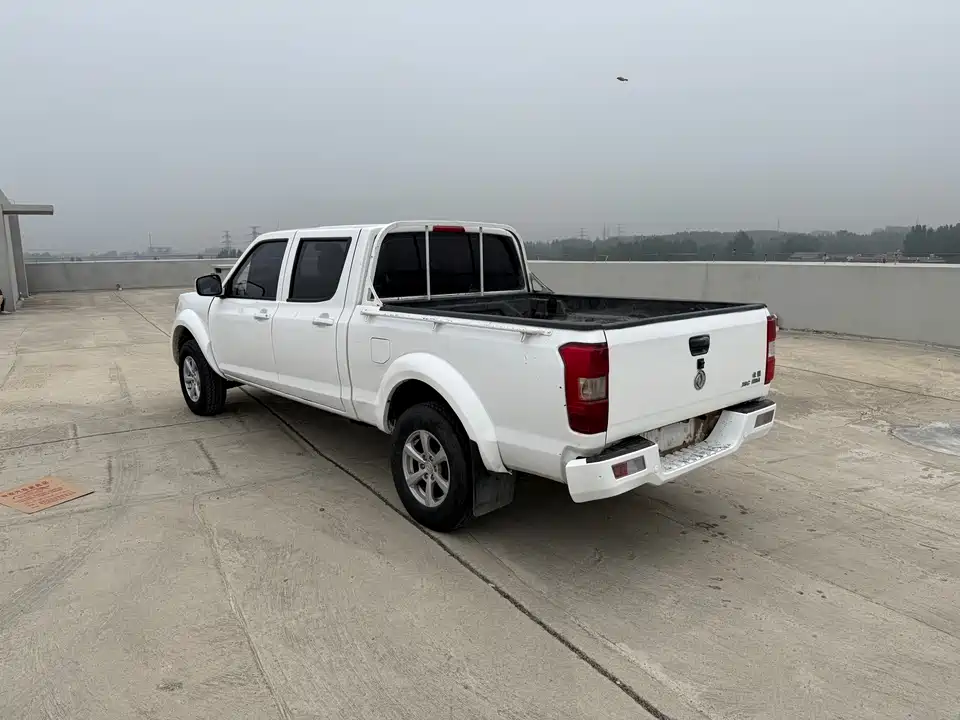 Dongfeng Ruiqi