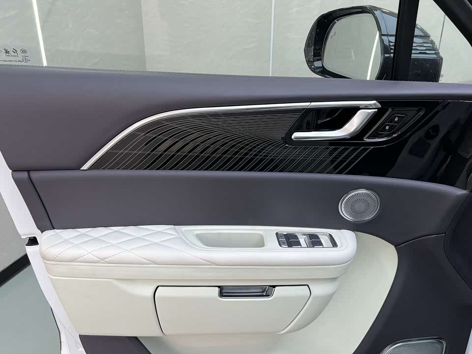 Hongqi E-HS9