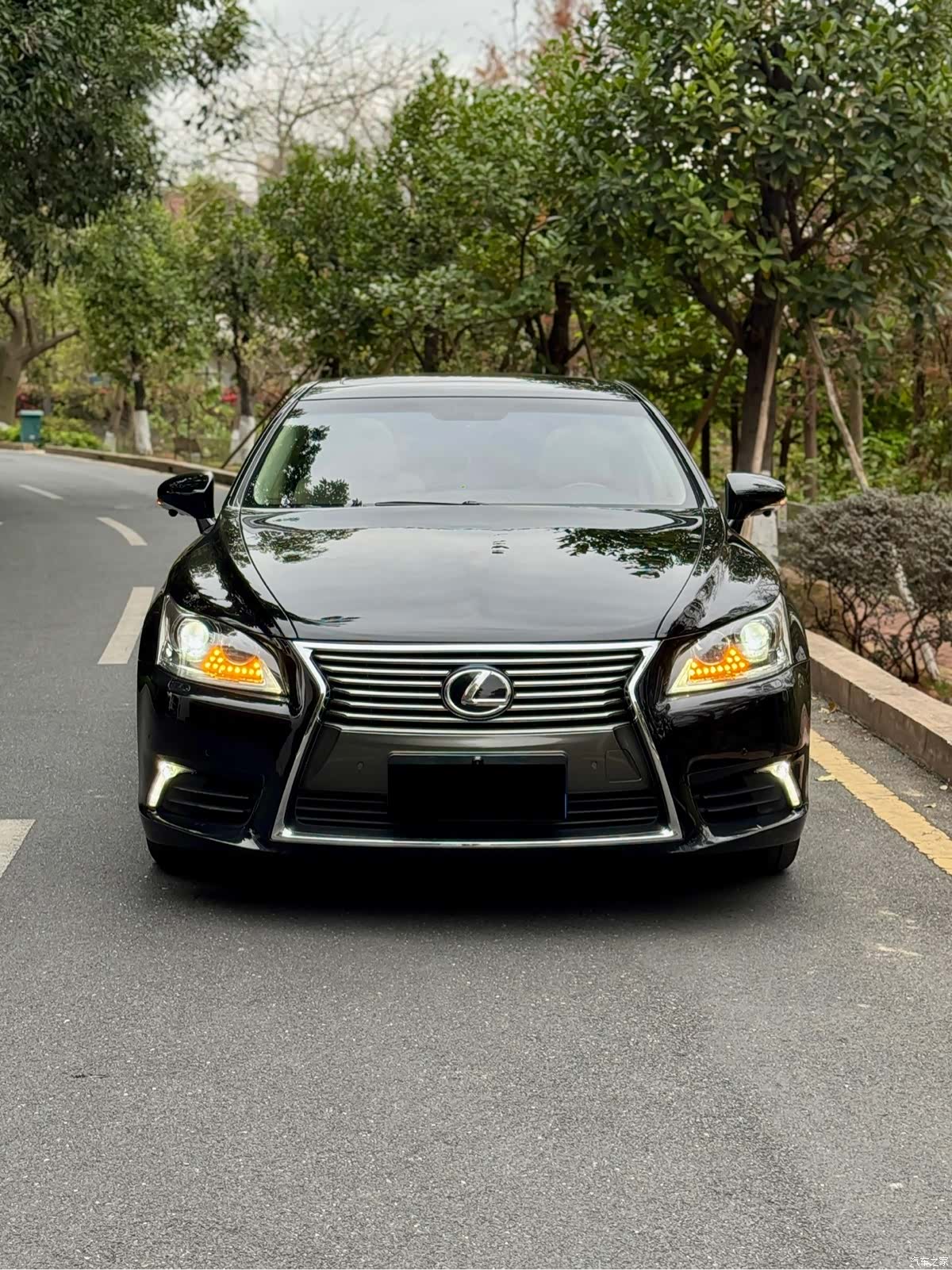 Lexus LS, 2015 2