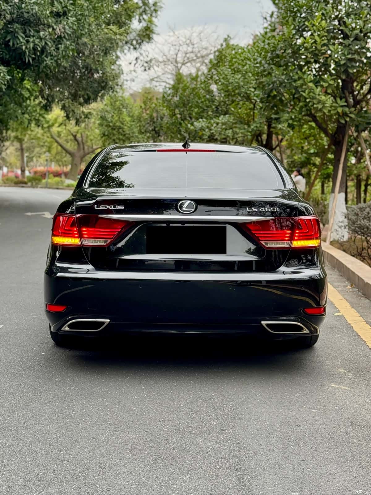 Lexus LS, 2015 все фото