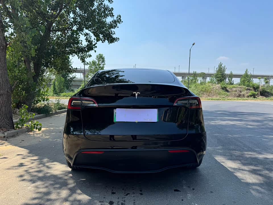 Tesla Model Y Tesla Model Y