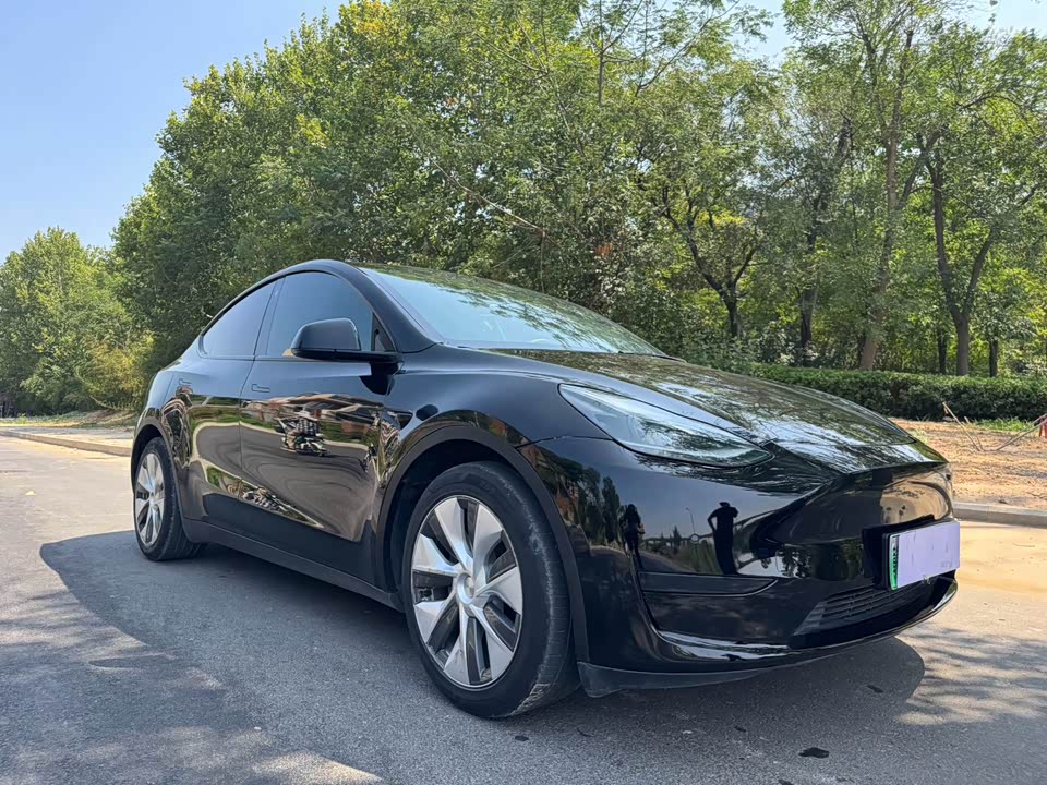 Tesla Model Y Tesla Model Y