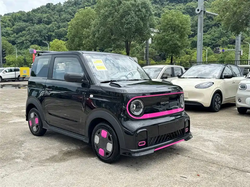 Geely Galaxy panda