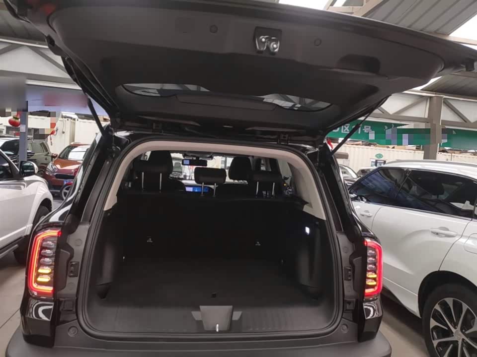 Haval Big dog