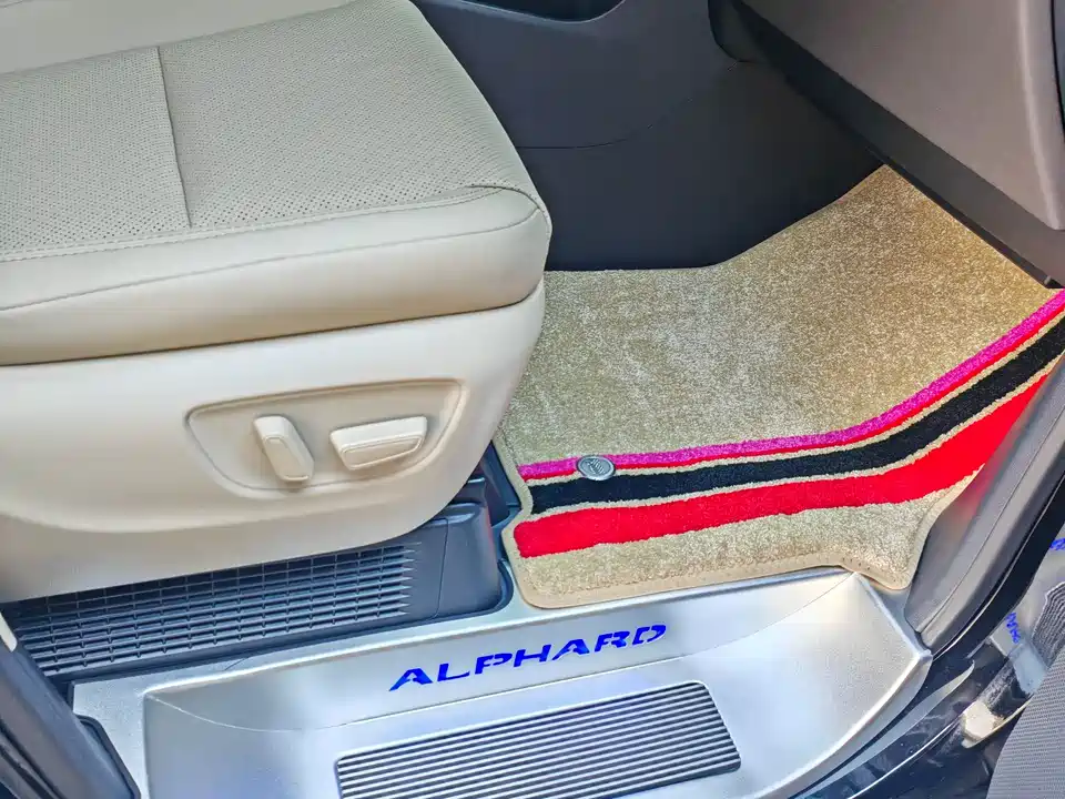 Toyota Elfa