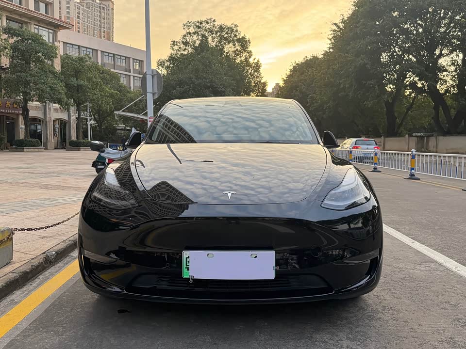 Tesla Model Y Tesla Model Y