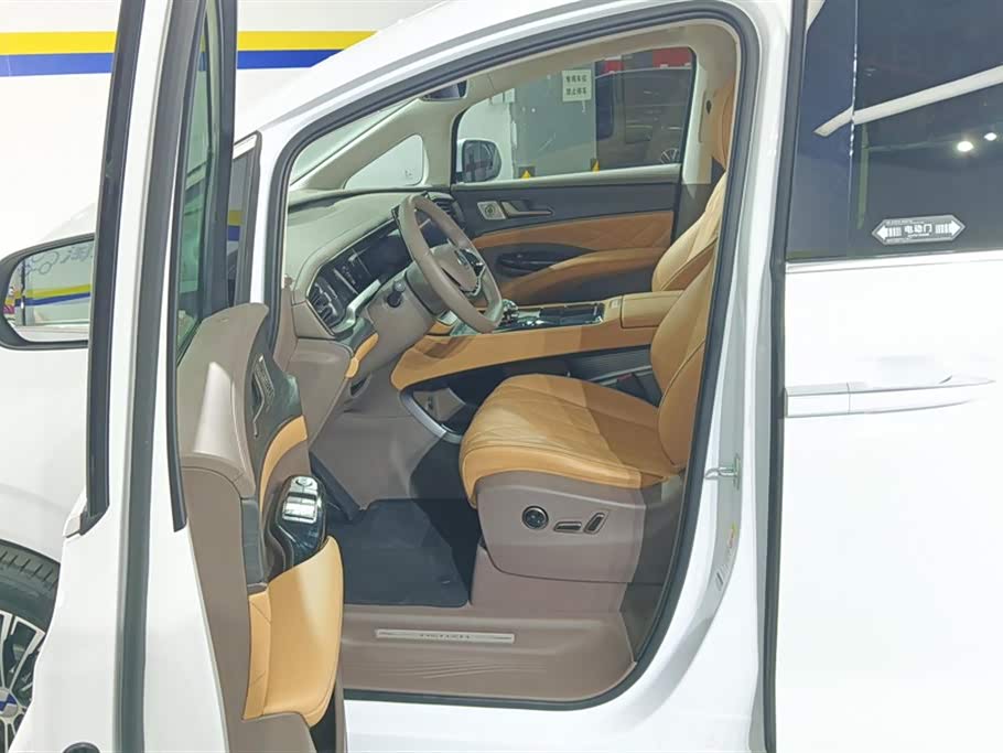 Denza D9