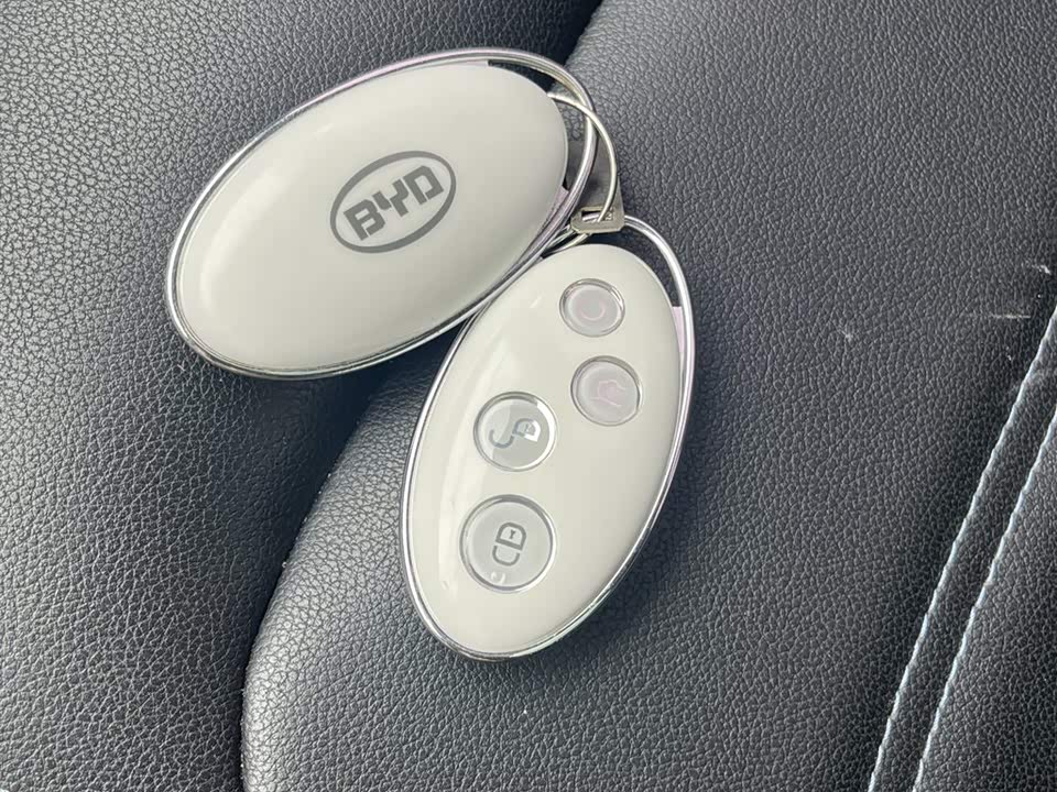 BYD Yuanxin Energy BYD Yuanxin Energy