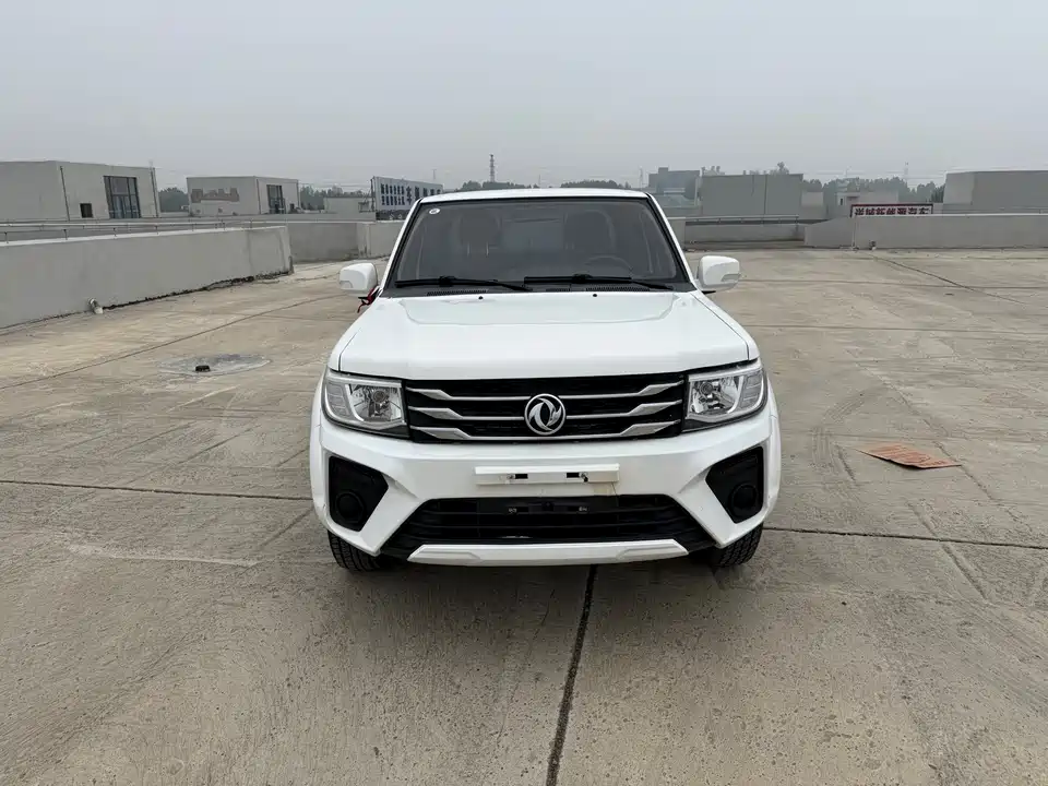 Dongfeng Ruiqi