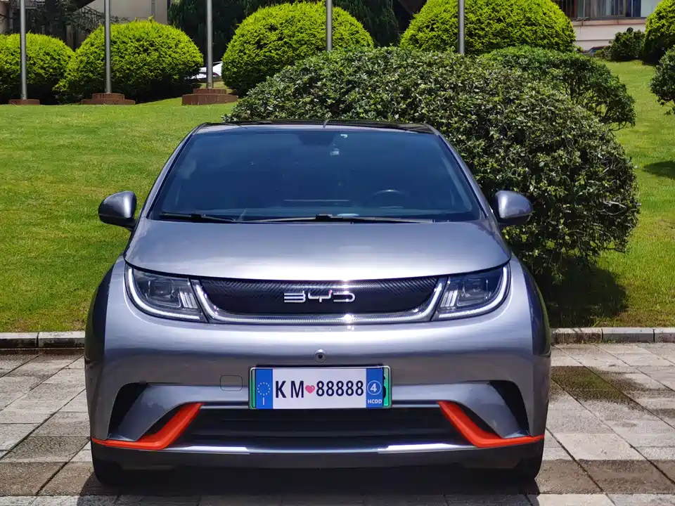 BYD dolphin