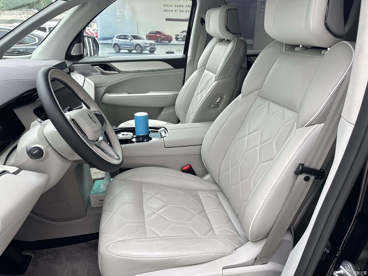 Volvo EM90, 2024 10