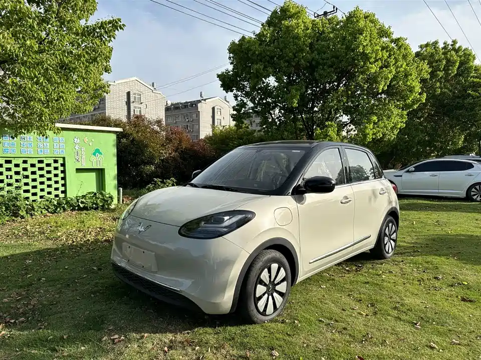 Wuling Wuling Bingguo