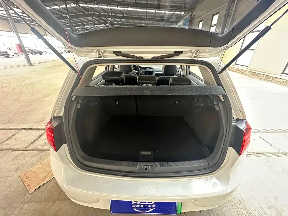 Volkswagen Golf*pure electricity