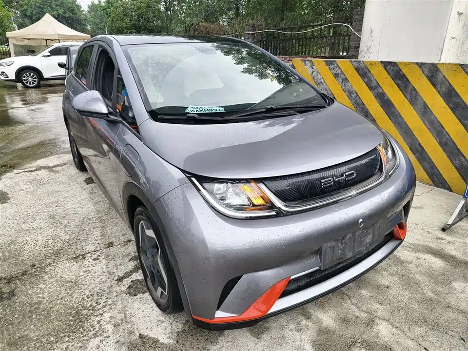 BYD dolphin