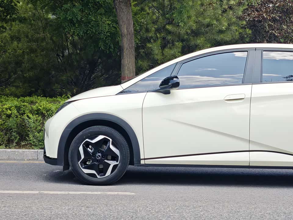 BYD dolphin BYD dolphin