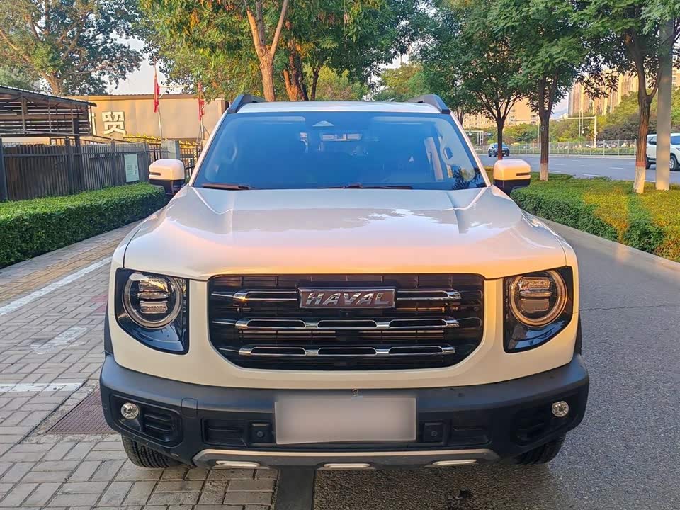 Haval Big dog
