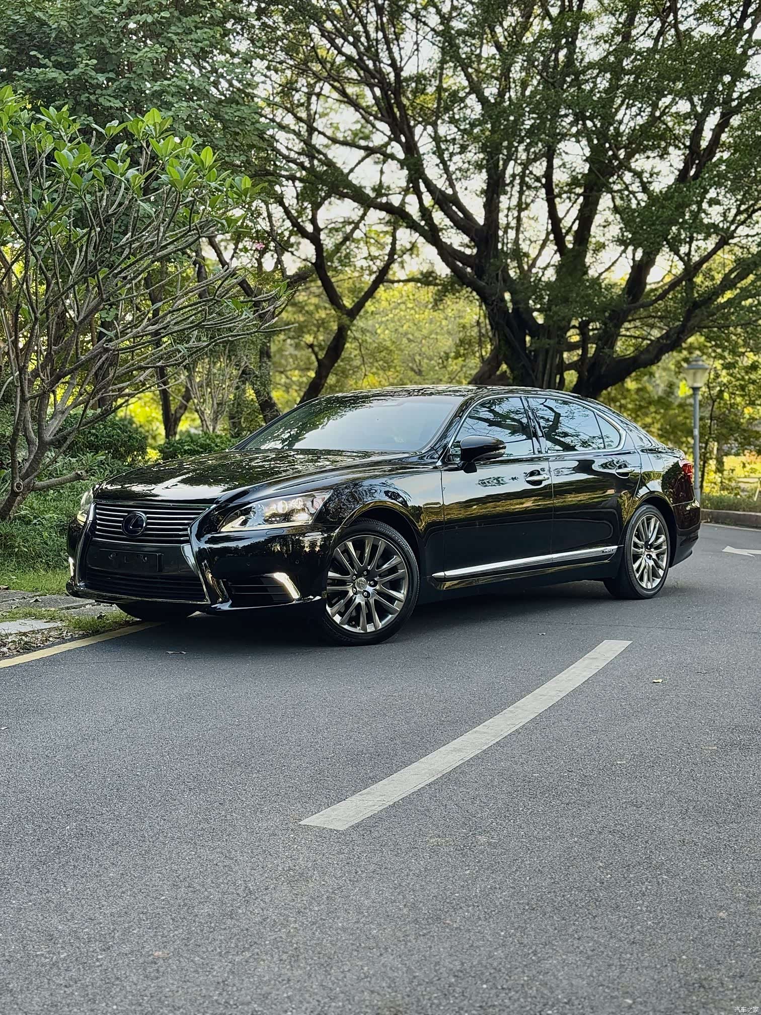 Lexus LS